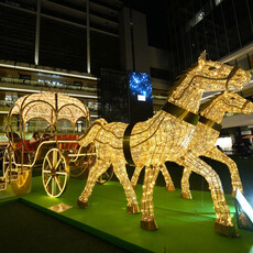 福岡聖誕降臨節 年年擴大