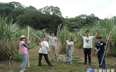 深度體驗農村特色 6農村3路線趣玩新竹縣