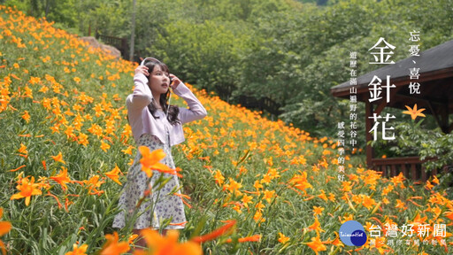 花漾台中四季花海驚豔登場 走訪五大花卉秘境