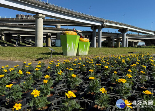 三重鴨鴨公園「花繪三重奏」 10萬盆花海與光雕夢幻登場