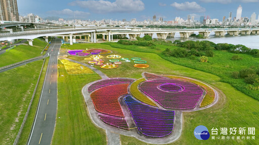 三重鴨鴨公園「花繪三重奏」 10萬盆花海與光雕夢幻登場