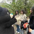 新年走春首選三貓！ 動物園親子同歡指南宮參拜