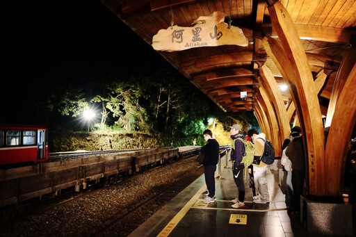 阿里山春日私語 一場與櫻花、日出和森林的浪漫約會