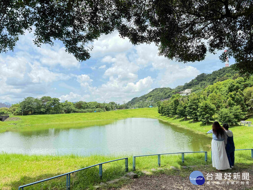 荷花綻放 新北山佳荷花池超療癒