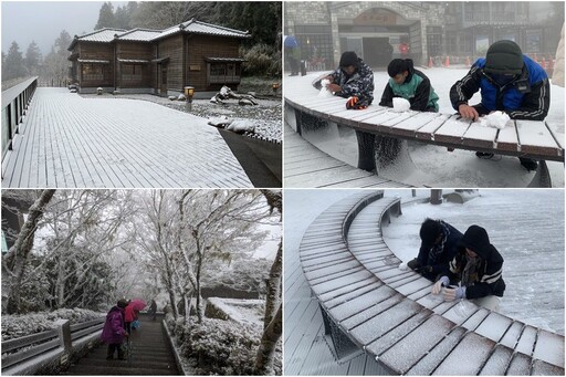 太平山下雪！ 遊客雪中作樂