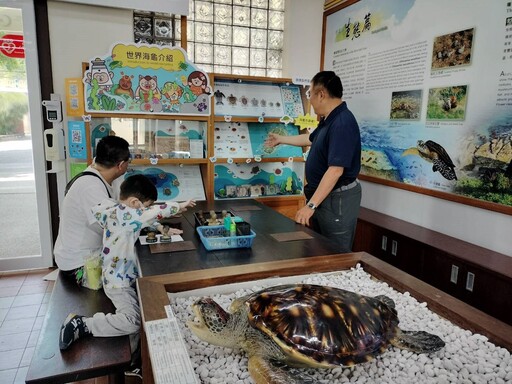 讓遊客更了解海龜 小琉球遊客中心打造「世界海龜介紹」櫥窗