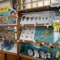 讓遊客更了解海龜 小琉球遊客中心打造「世界海龜介紹」櫥窗