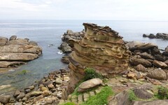 夏季直奔東北角最美海岸 打卡收集黃金奇岩秘境