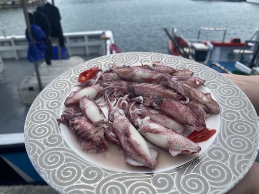每到夏天就要吃小卷 尚青的小卷在深澳漁港