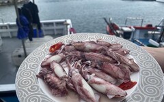 每到夏天就要吃小卷 尚青的小卷在深澳漁港