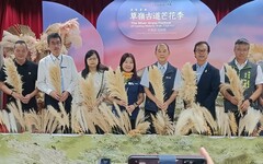 影音/「2024草嶺古道芒花季」 11/2-12/1與您漫遊古道銀白花海之美