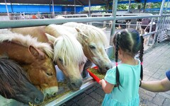 嘉義縣中埔鄉農遊趣 推薦親子一日遊