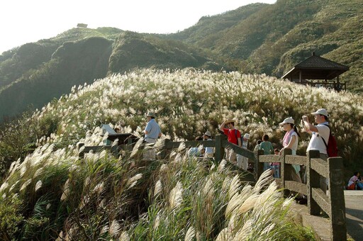 「草嶺古道芒花季」台灣好行推限定套票 只要150元