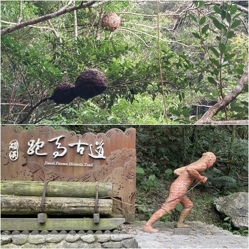 虎頭蜂窩+崩塌 礁溪跑馬古道0-3K封閉