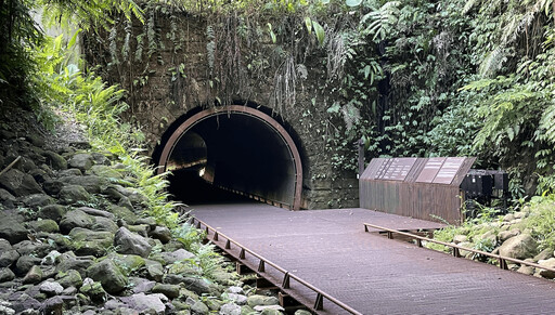 鐵路隧道變身生態寶庫 三貂嶺導覽體驗帶你探索自然