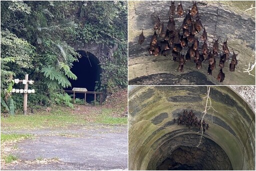 串聯舊太平山林鐵隧道遺跡 樂水部落小旅行新賣點