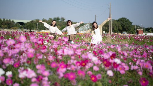 2024嘉義花海生活節花卉綻放七成 拍美照、吃美食來嘉一把罩