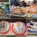 影音∕南方澳魚市年終大促銷 買海產滿千摸彩送大獎