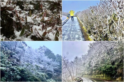 持續低溫白了山頭 太平山迎來今年第一場冰霰