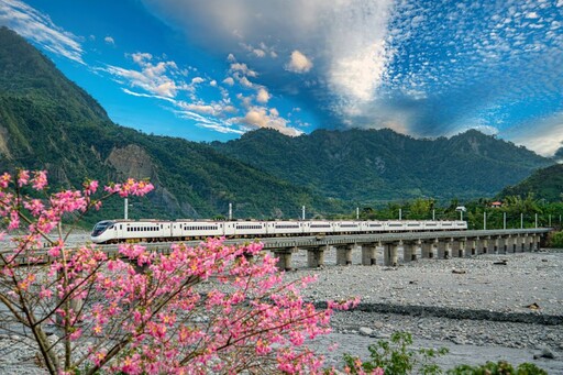 走春一路蛇采飛揚 花東縱管處提供旅遊交通便捷資訊