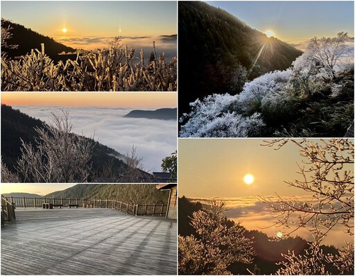 日出+雲海+薄霜+霧淞 太平山之晨美極了