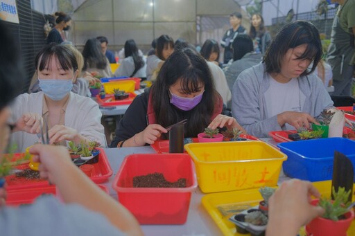 春節親子遊必去 新北三芝蜜蜂導覽、多肉DIY等你來體驗