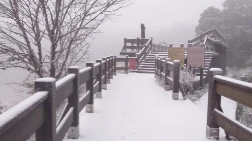 影音/寒流來襲 思源埡口與太平山區現冰霰霧淞