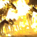 影音/嘉義鹿草元宵火馬祭 邀民眾放火馬祈平安