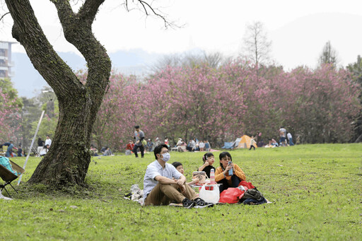 茶迷集合 三峽「Hō你有春」綠茶季 DIY、親子體驗、野餐一次滿足