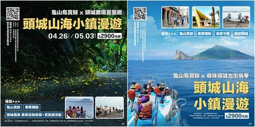 影音∕東北角旅遊首選！ 龜山島看鯨豚賞百合