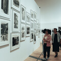 藝術迷必訪!新北市美術館開館 六週系列活動、四大展覽接力登場