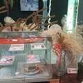 影音/用大海廢棄物和路邊野花草來設計浪漫婚禮 竹漂花藝師為外公外婆辦展覽