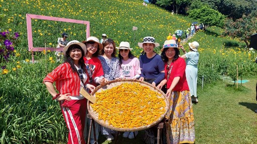 影音/虎山巖金針花盛開 母親節假期迎接金黃花海