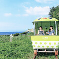 2025世壯運在新北 觀旅局推運動文化體驗 邀選手深度探索新北之美