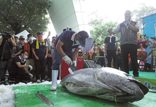 從南方澳到淡水魚市 黑鮪魚解體秀6月6日登場 視覺味蕾雙饗宴