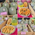 影音/壯圍健走饗瓜果 曜王哈密瓜首亮相