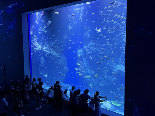 搶暑期最後一波 台中海洋館今日開館吸引眾多民眾進場