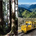 恐受樺加沙影響 太平山9/21下午起預警休園