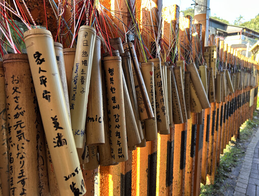 蜂香花語・礦路食味|平溪一日農遊體驗 走進山林、品味礦城 帶回最純粹的旅行記憶