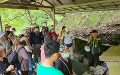 漫步桐花山城 探索四腳亭秘境 瑞芳區公所邀您延續桐花祭的浪漫旅程