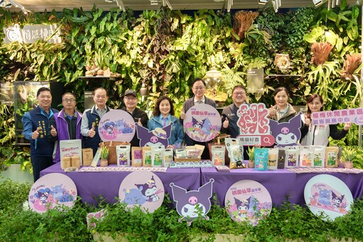 桃園仙草嘉年華11/22登場 與酷洛米相遇夢幻紫色花海