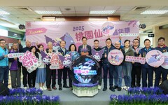 桃園仙草嘉年華11/22登場 與酷洛米相遇夢幻紫色花海