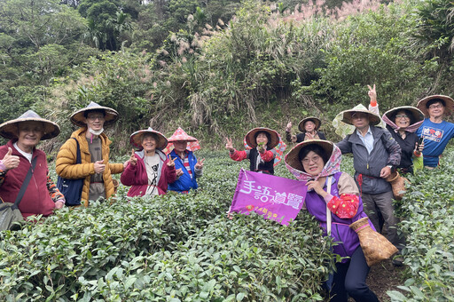 新北坪林茶博館推「手語導覽一日遊」 帶領聾人朋友體驗茶園採製