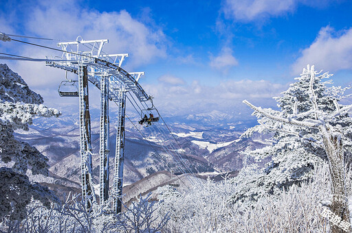 探索韓國七大冬季慶典 感受雪域仙境與美食樂章