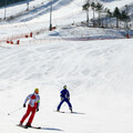 2024冬季青年奧運會在韓國 即日起入境韓國要填寫健康狀態調查表