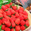 2024內湖草莓季開跑 這3區可進行採果樂！