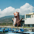 14米的擁抱貓咪超萌在看海美術館現身