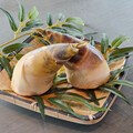 綠竹筍正產季 挑筍法則，簡易烹調報您知！