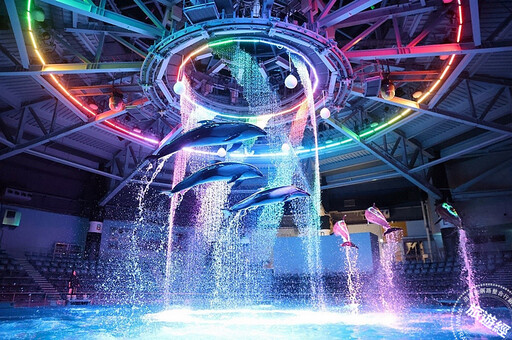 暑假日本清涼遊 「炎」選東京三大人氣水族館