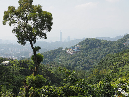 貓空遠眺台北城 走步道、茗茶、吃美食再加「這一特色」！